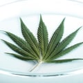 The Importance of Testing and Quality Control for Cannabis Products in Southwest Washington