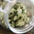 The Ins and Outs of Obtaining a License to Sell Cannabis in Southwest Washington