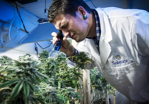 The Growing Impact of Cannabis Businesses in Southwest Washington